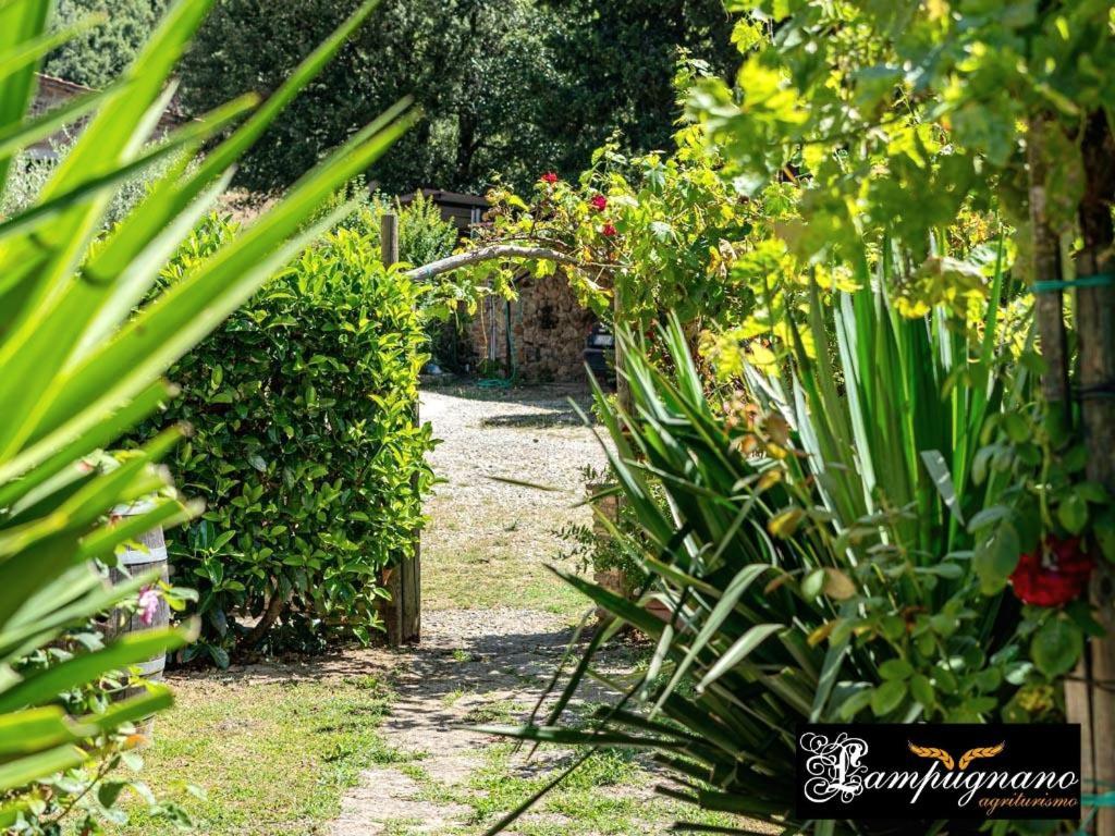 Agriturismo Lampugnano Paganico  Buitenkant foto